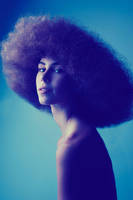 Kimber by Vinyl-Disco