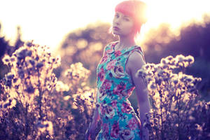 Sunsetting II by Vinyl-Disco