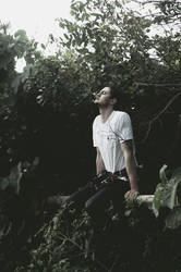 Will VII by Vinyl-Disco