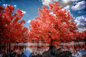 Peak by helios-spada