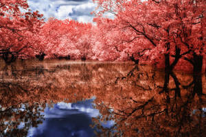 Concave by helios-spada