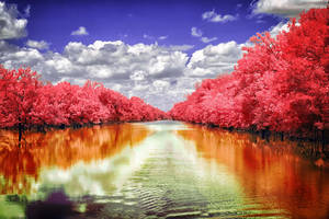 Wishing Creek by helios-spada