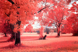 Redscape by helios-spada