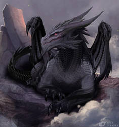 Dragon Vulom by IrenBee