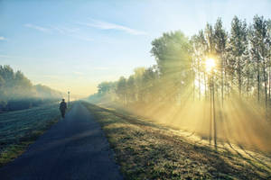 morning walk by NemanjaJ