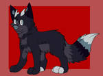 Rayne by Kit-X-ing