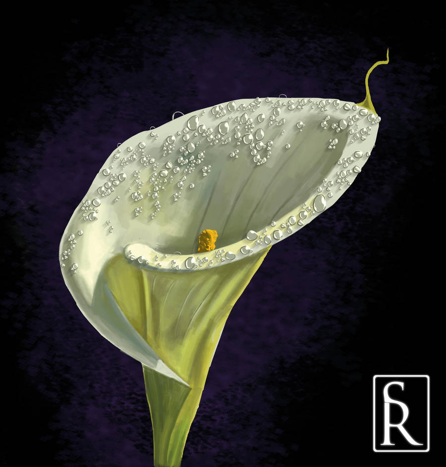 Lily for a Lady by VonStreff