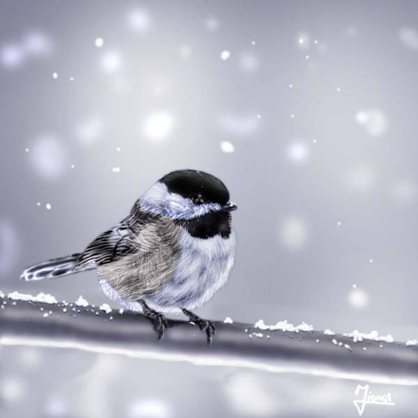 the little bird by blueboy777