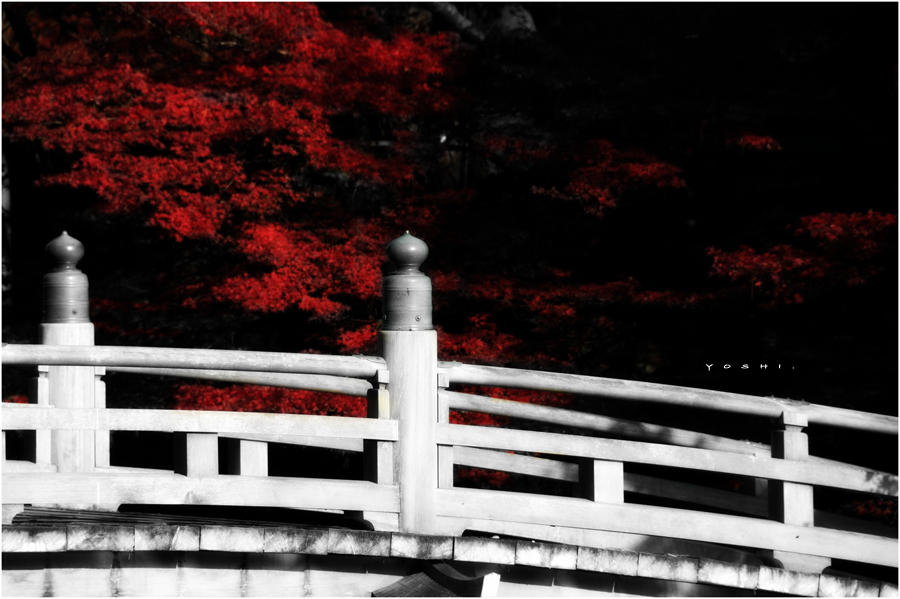 bloody leaves by jyoujo
