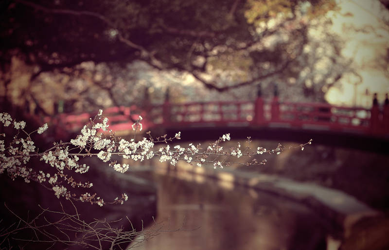 Only time by jyoujo
