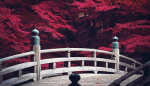 gone for long by jyoujo