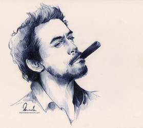 Ballpoint Pen - Robert Downey Jr. by kleinmeli