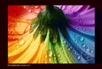Colourful by kleinmeli