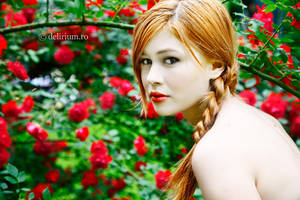 Roses were your favourite lies by WildRainOfIceAndFire