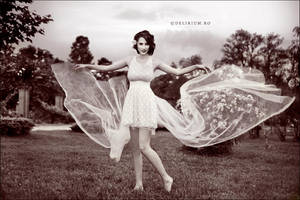 Papillon by WildRainOfIceAndFire