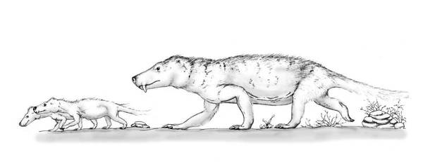 Glanosuchus by mojcaj
