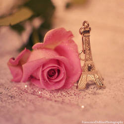 Romantic Paris by FrancescaDelfino