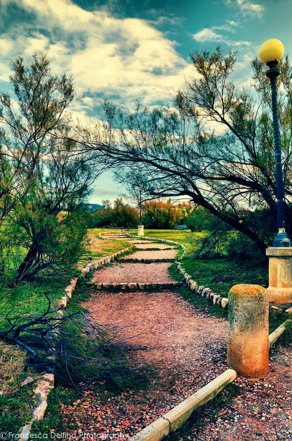Antignano 8 by FrancescaDelfino