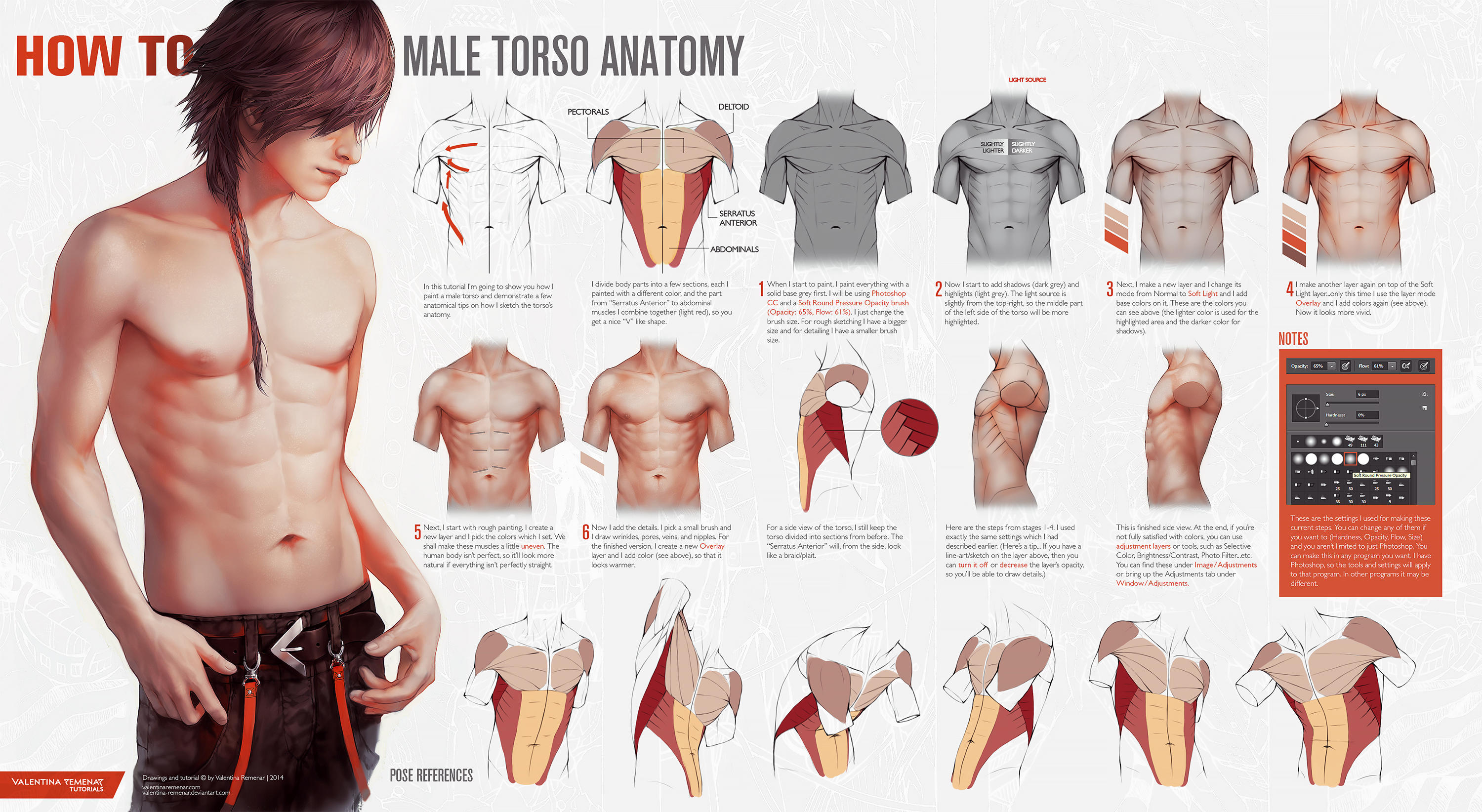 HOW TO: Male Torso Anatomy by Valentina-Remenar