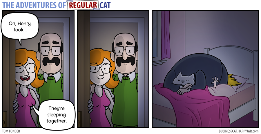 The Adventures of Regular Cat - Sleep by tomfonder
