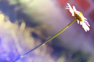 Looking Up At You by Czechtra