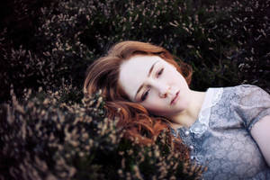 Winter Heather by ellylucas