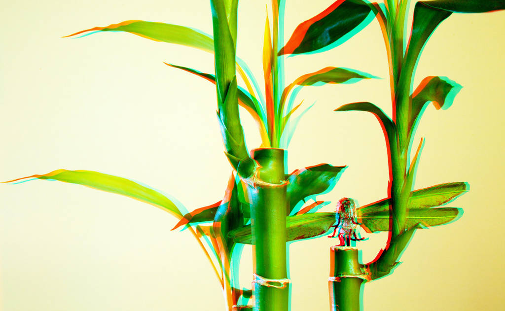 3D Anaglyph Bamboo by Nestor2k