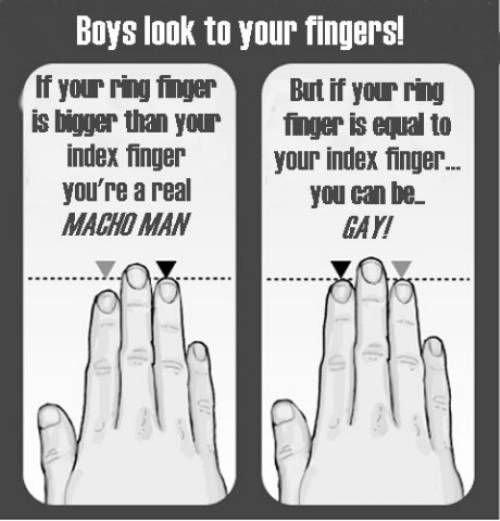 he gay test Sex lies an videotape