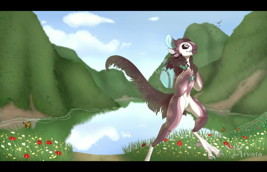 CM: Adventures - Robin by Arvata