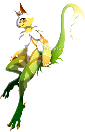 Chamomile by Arvata Chamomile by Arvata