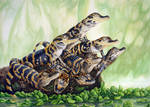 Eight Sweeties by albertoguerra