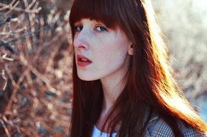 January sun by SaraLinn