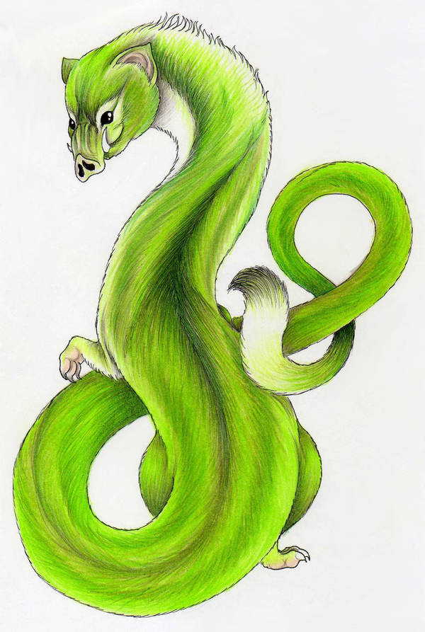 Ramidreju by verreaux