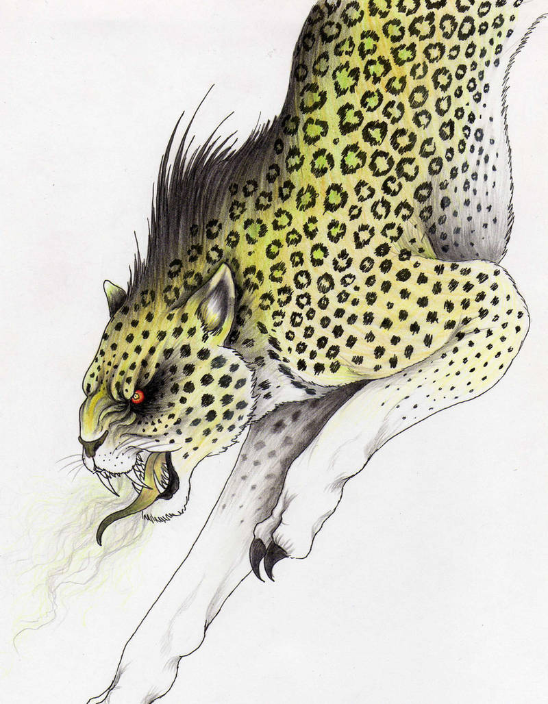 Nundu by verreaux