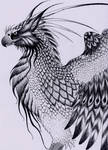 imperial griffin by verreaux