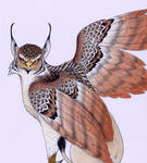 Grifo Lince 2 by verreaux