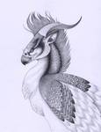 Persian Griffin by verreaux