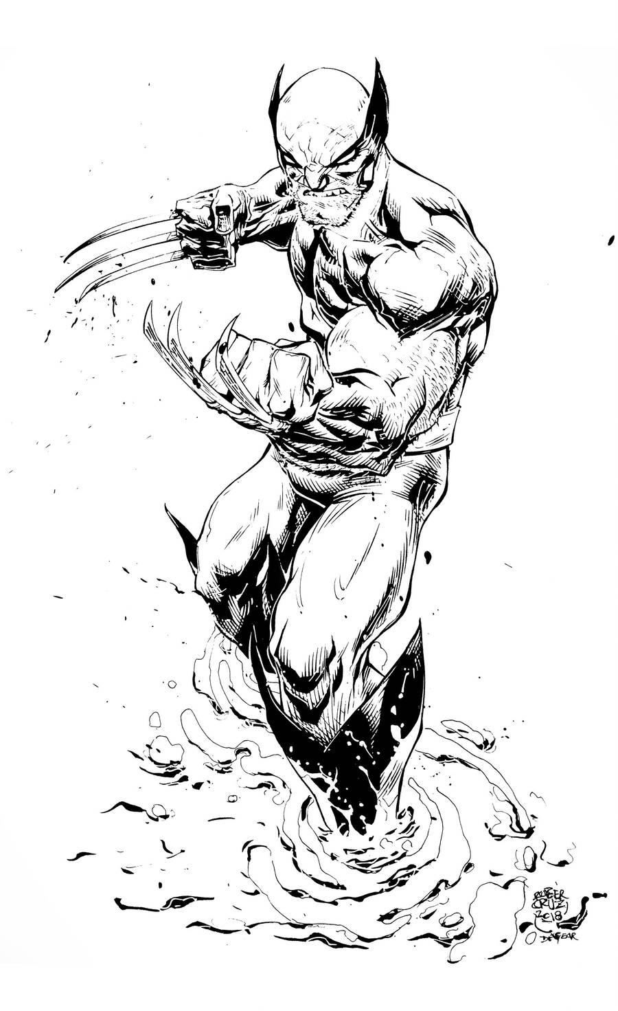 High Res Wolverine by devgear