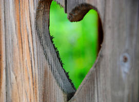 inside of a heart by souldandhappiness