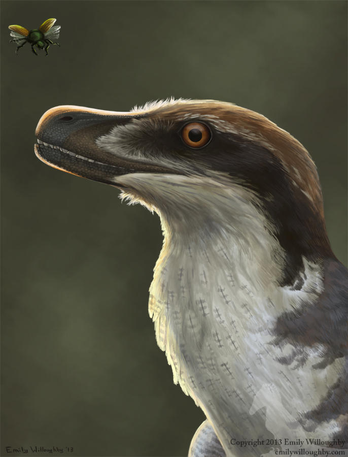 Acheroraptor by EWilloughby