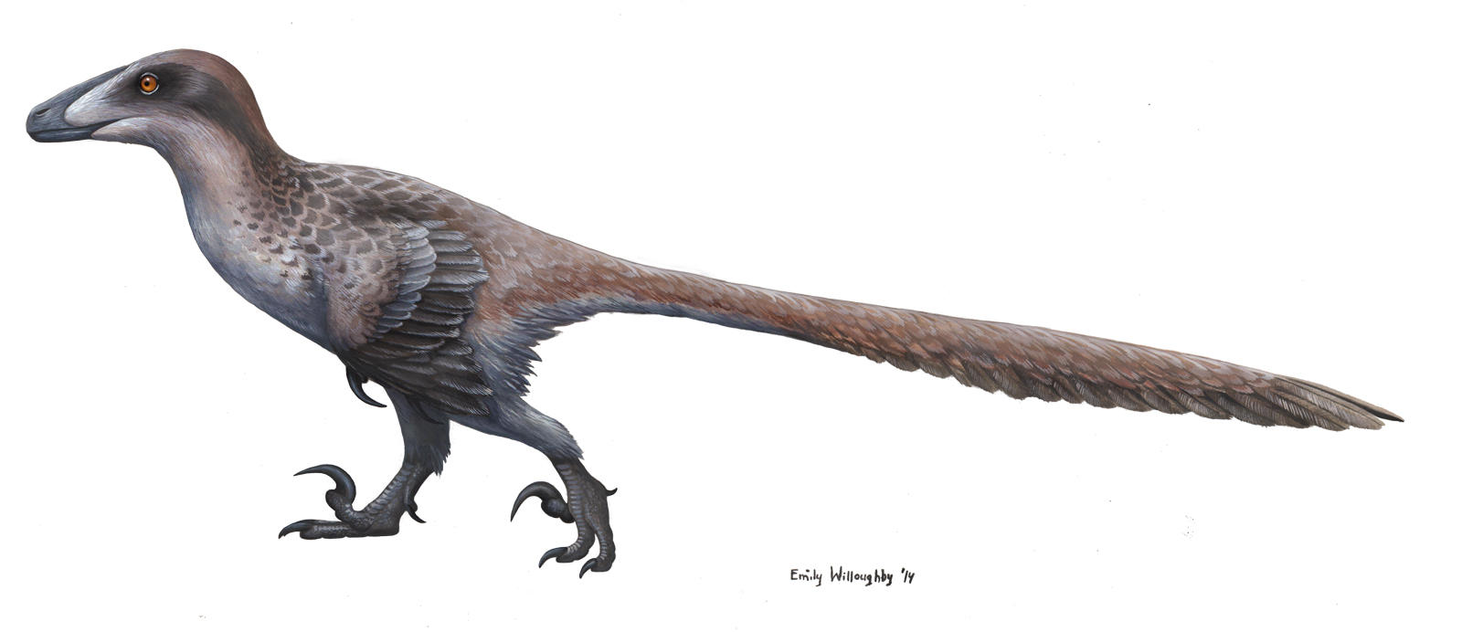 The Terrible Claw by EWilloughby