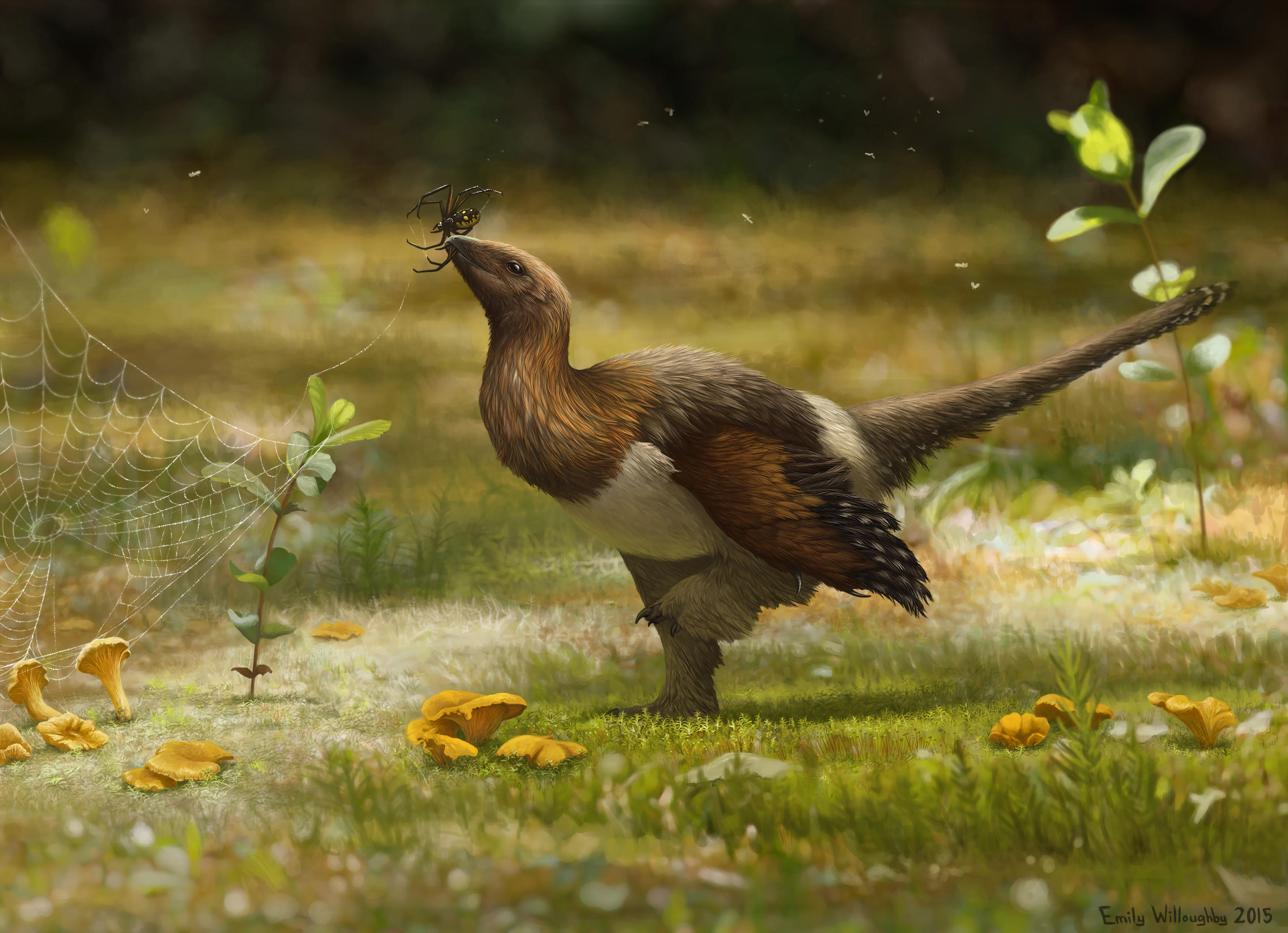 The Silky Serikornis by EWilloughby