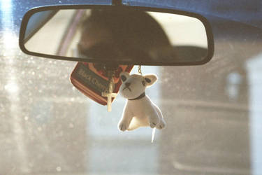 That Doggy in The Window by Vigorousjammer