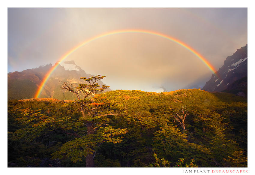 Heaven and Earth by Ian-Plant
