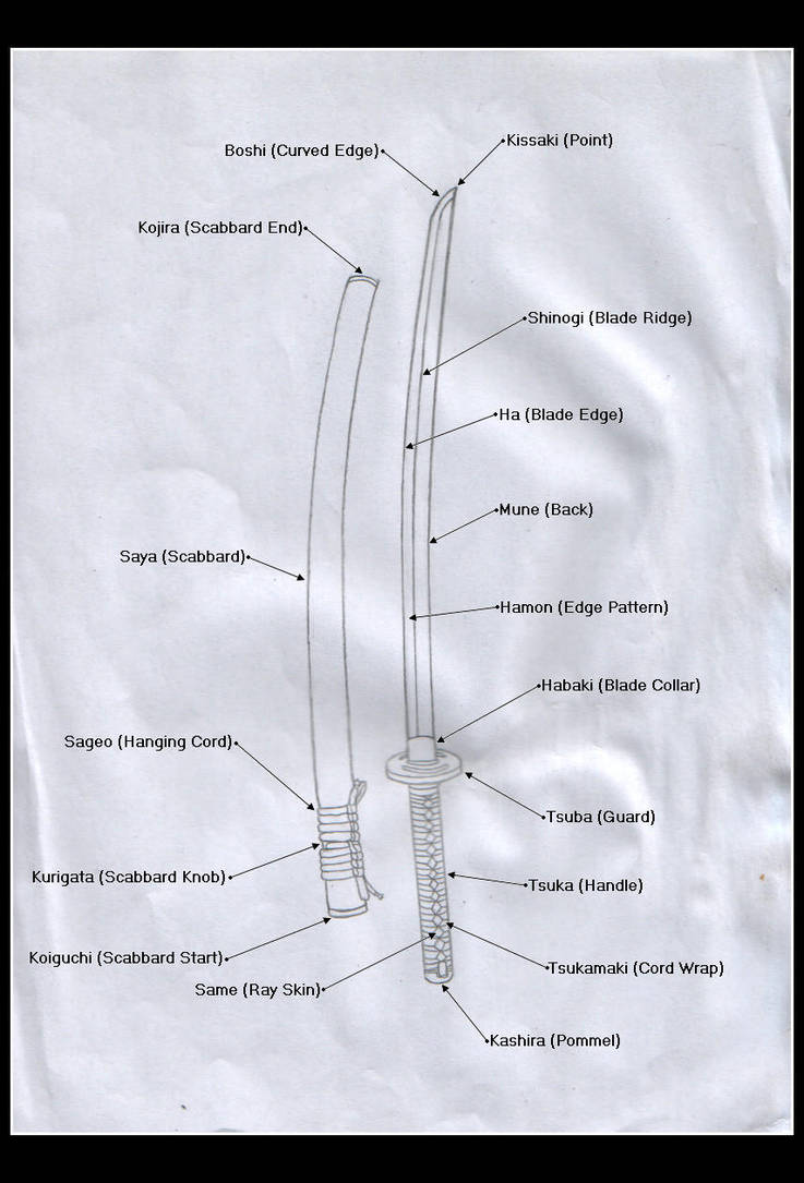 Swordmaking Anatomy: Katana by chioky