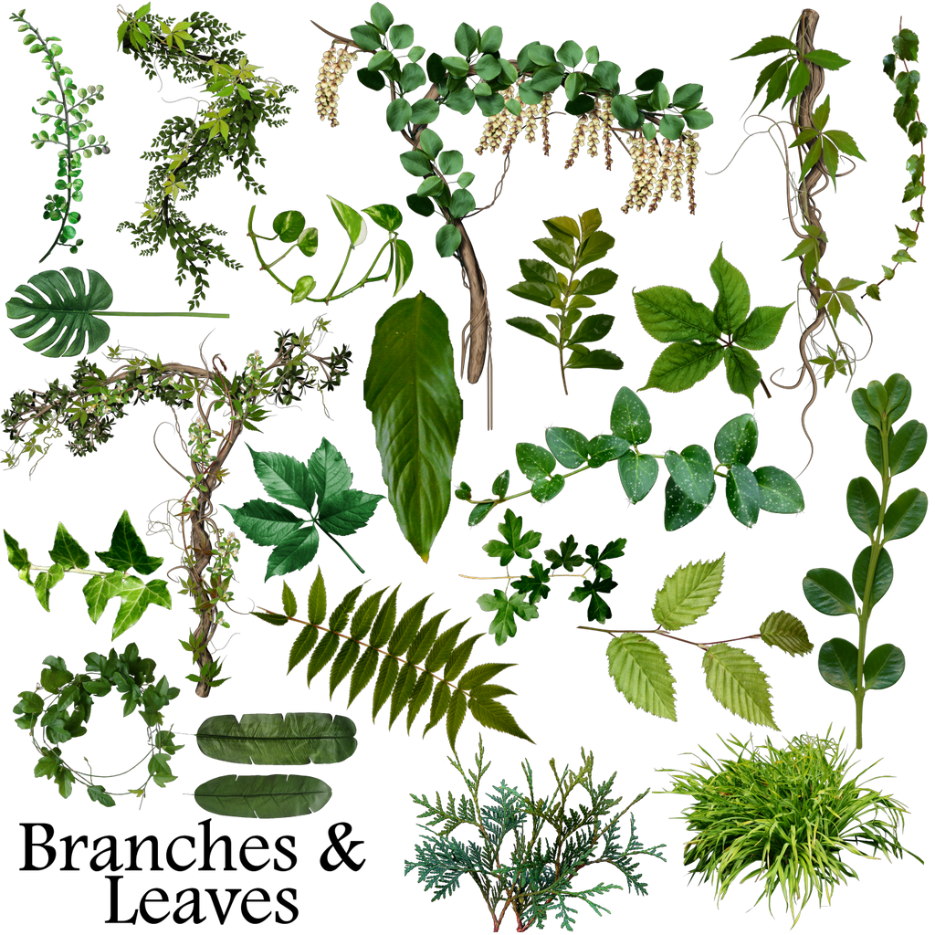 Branches and leaves resource by Rain-Gear
