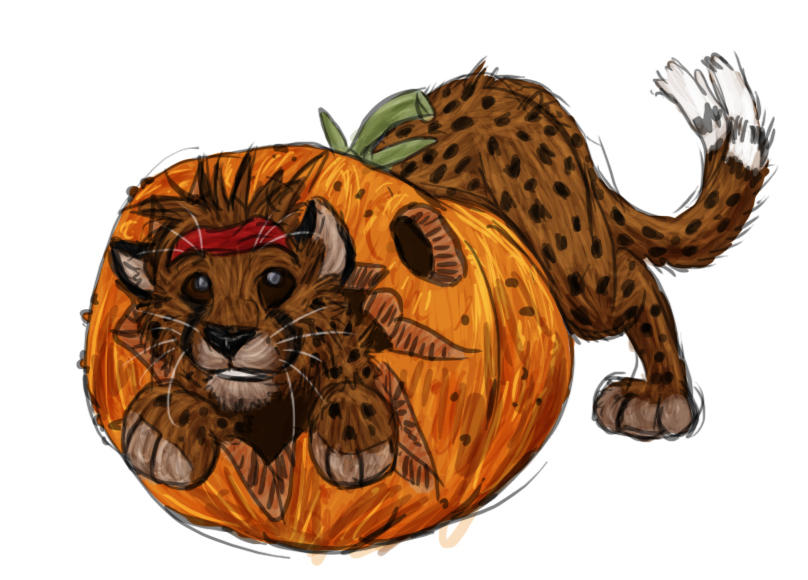 Seasonal by timba
