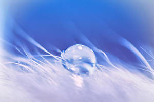 DROP 8 by SquadGazZz