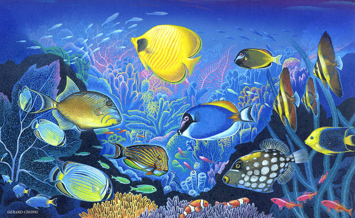 Under The Sea by Amazina Under The Sea by Amazina