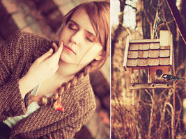 if she could fly by justina-m